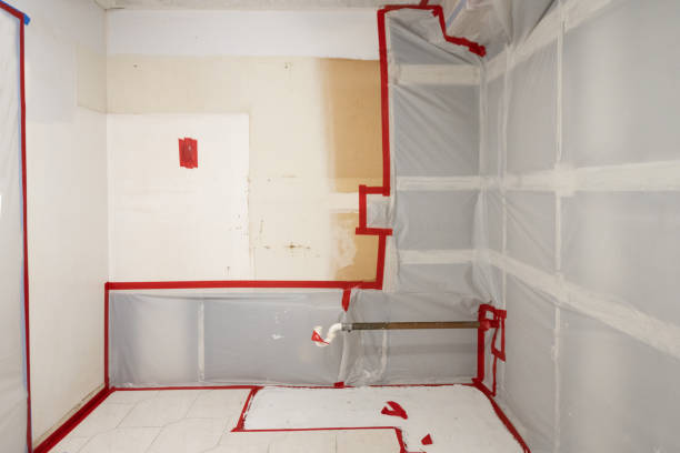 Best Black Mold Removal  in USA